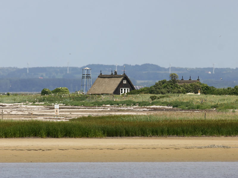 Naturschutzgebiet Langenwerder Naturschutzgebiet Langenwerder