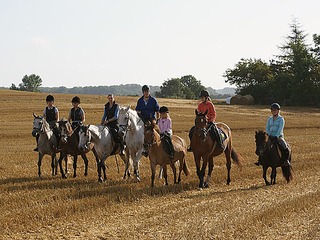 Reitsportanlage und Ferienwohnungen Reitsportanlage und Ferienwohnungen