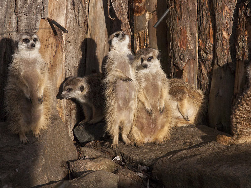 Tierpark Greifswald Tierpark Greifswald