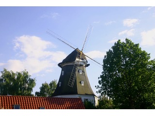 Galerieholländermühle in Graal-Müritz Galerieholländermühle in Graal-Müritz