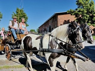 Hof Thomsen Hof Thomsen
