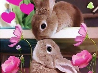 Ostern Ostern