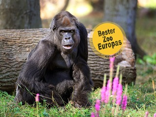 Zoo Rostock Zoo Rostock