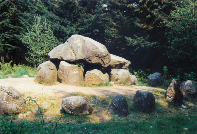 Bodendenkmäler im Everstorfer Forst mit Sühnestein Bodendenkmäler im Everstorfer Forst mit Sühnestein