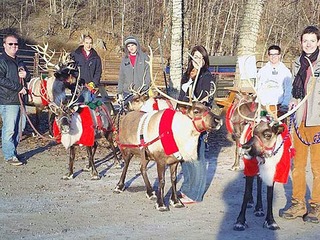 Weihnachtswanderung mit Rentieren Weihnachtswanderung mit Rentieren