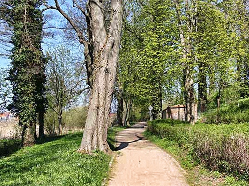 Engelscher Garten Engelscher Garten
