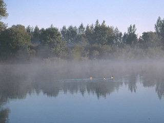 Naturschutzgebiet Binsenbrink im Teterower See Naturschutzgebiet Binsenbrink im Teterower See