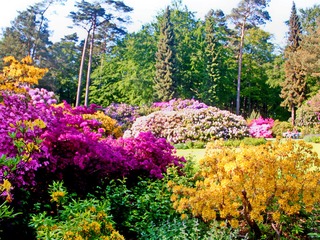 Arrangement Pfingsten. Kunst und Natur Arrangement Pfingsten. Kunst und Natur