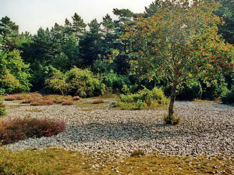 Schmale Heide Schmale Heide