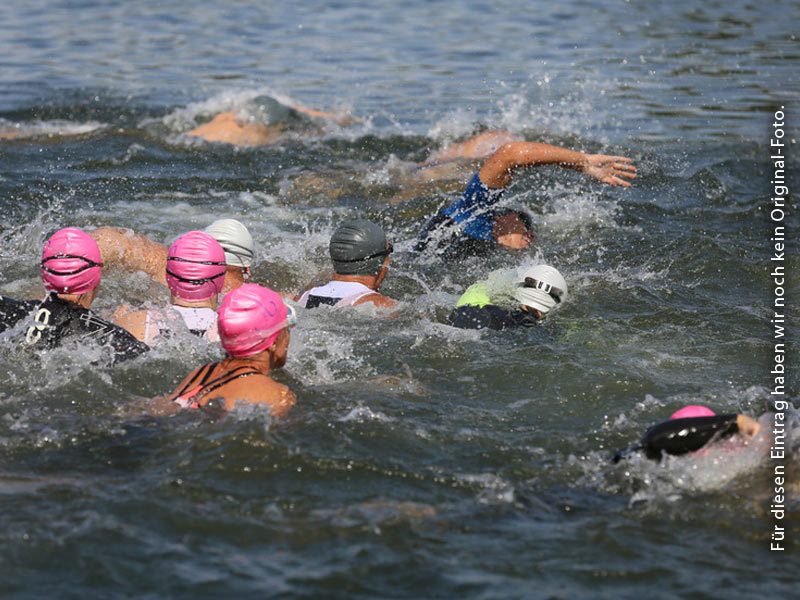 Müritzschwimmen Müritzschwimmen