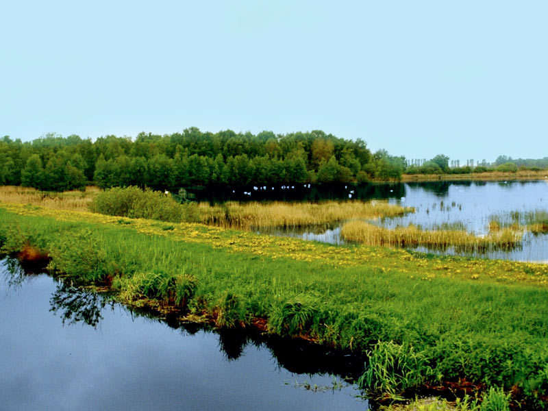 Aussichtspunkt Dütschower Brücke Aussichtspunkt Dütschower Brücke