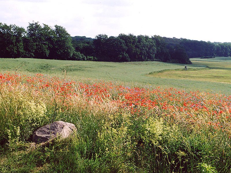 Eiszeitroute von Feldberg nach Fürstenberg Eiszeitroute von Feldberg nach Fürstenberg