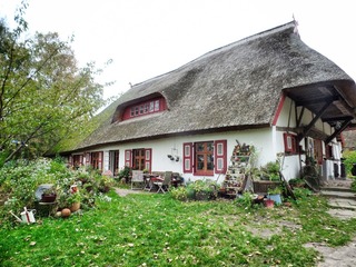 Dornenhaus Dornenhaus