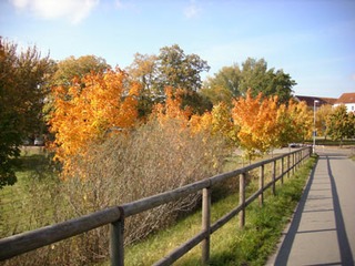Radwanderung rund um Parchim - Tour 2 Radwanderung rund um Parchim - Tour 2