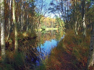 Schulungs- und Informationszentrum "Wald und Moor" Schulungs- und Informationszentrum "Wald und Moor"