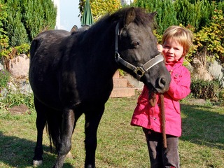 Reitferien mit Tagesbetreuung Reitferien mit Tagesbetreuung