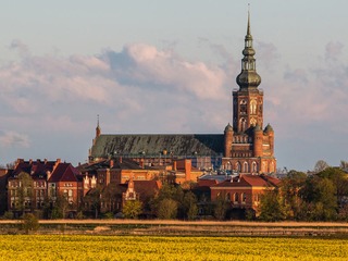 Dom St. Nikolai Greifswald Dom St. Nikolai Greifswald