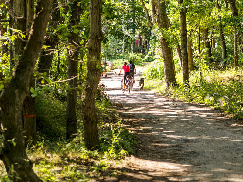 Große Radtour durch die Rostocker Heide Große Radtour durch die Rostocker Heide