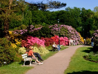 Rhododendronpark Graal-Müritz Rhododendronpark Graal-Müritz