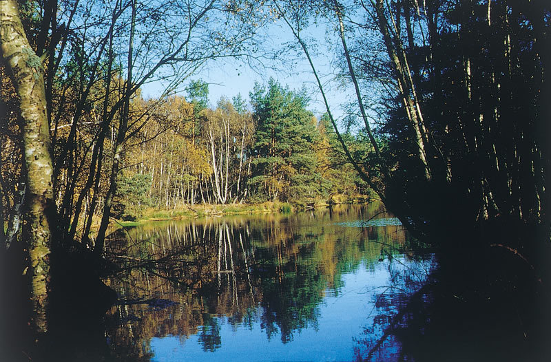 Naturschutzgebiet Ribnitzer Großes Moor Naturschutzgebiet Ribnitzer Großes Moor