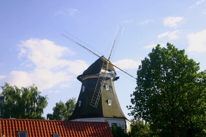 Galerieholländermühle in Graal-Müritz Galerieholländermühle in Graal-Müritz