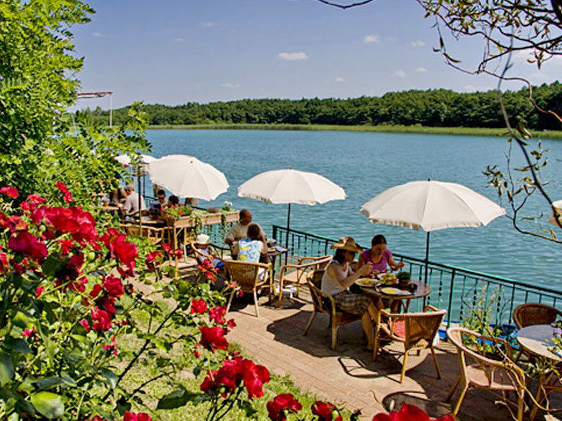 Restaurant im Romantischer Seegasthof & Hotel Altes Zollhaus Restaurant im Romantischer Seegasthof & Hotel Altes Zollhaus