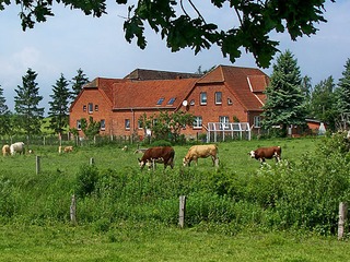 Bauernhof Jung Bauernhof Jung