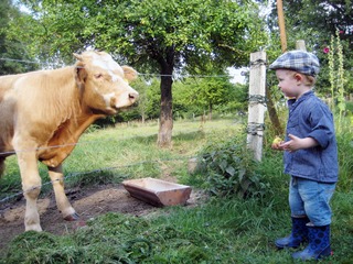 Bauernhof am Wiesengrund Bauernhof am Wiesengrund