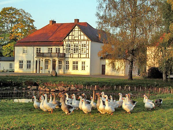 Thünengut Tellow Thünengut Tellow