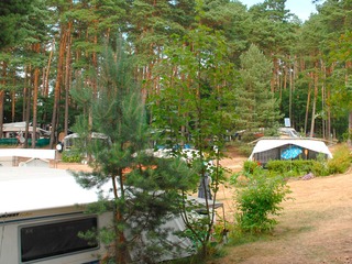 Campingplatz am Großen Pälitzsee Campingplatz am Großen Pälitzsee