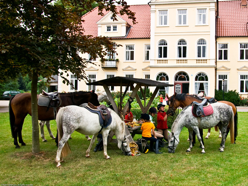 Reiterhof auf dem Landgut Oberhof Reiterhof auf dem Landgut Oberhof
