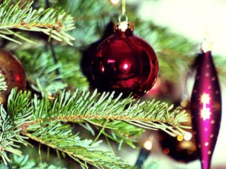 Weihnachtsarrangement im Aparthotel Seeschlösschen Weihnachtsarrangement im Aparthotel Seeschlösschen