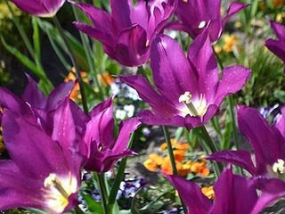 Arrangements 14 = 13 und 7 = 6 Arrangements 14 = 13 und 7 = 6