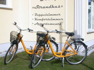 Frühlingserwachen mit Fahrrad und Lunchpaketen Frühlingserwachen mit Fahrrad und Lunchpaketen