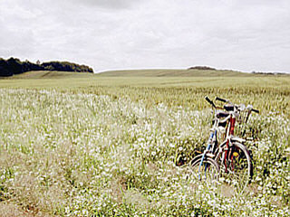 Angebot für Radwanderer - Sternfahrten ab Plauer See Angebot für Radwanderer - Sternfahrten ab Plauer See