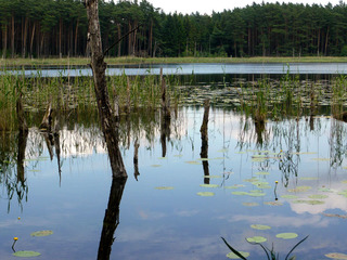 Urlaub genießen und Natur erleben am Müritz-Nationalpark Urlaub genießen und Natur erleben am Müritz-Nationalpark