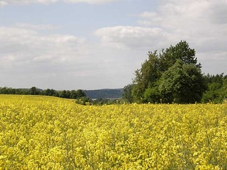 Radwandern im Müritz-Nationalpark Radwandern im Müritz-Nationalpark