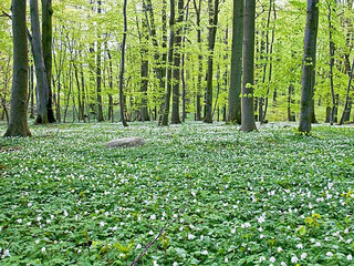 Ostern in Lohme Ostern in Lohme