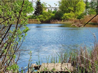Ferienwohnungen Mecklenburger Seenplatte Ferienwohnungen Mecklenburger Seenplatte