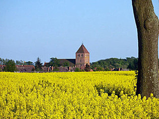 Frühlingsgefühle am Plauer See Frühlingsgefühle am Plauer See