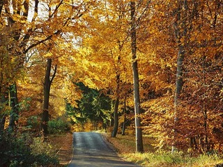Herbstliche Verwöhntage Herbstliche Verwöhntage
