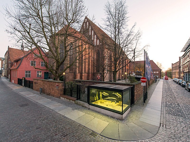 Meeresmuseum Meeresmuseum
