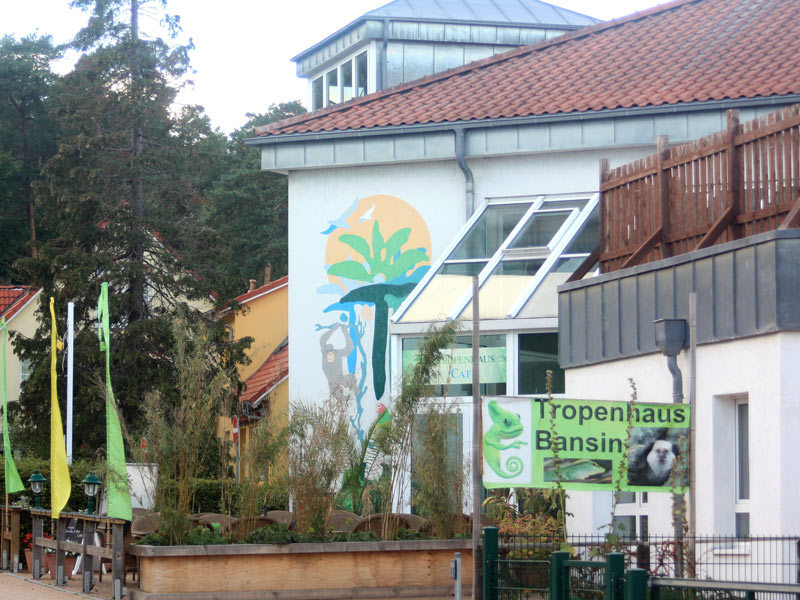 Tropenhaus Bansin Tropenhaus Bansin