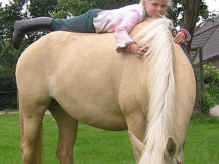 Reitanlage Biohof Donst Reitanlage Biohof Donst