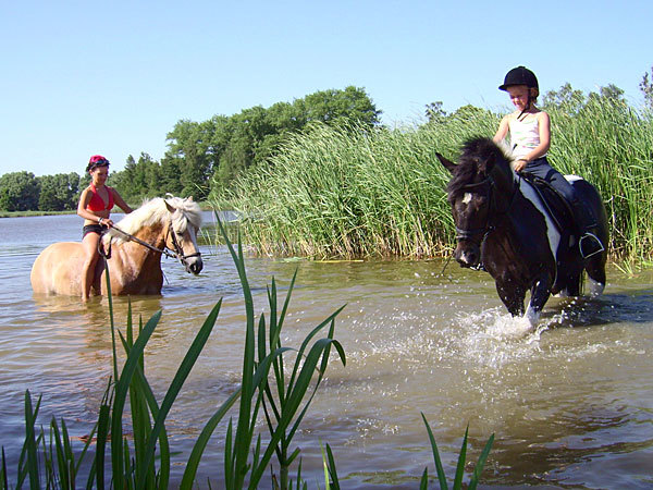 Reitanlage - Ferien am Schloss Reitanlage - Ferien am Schloss
