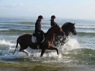 Reitanlage Friesenhof Reitanlage Friesenhof