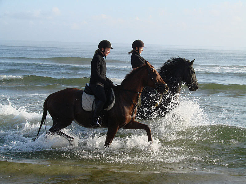 Reitanlage Friesenhof Reitanlage Friesenhof