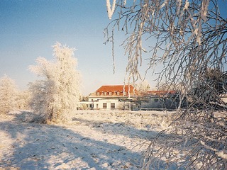 Silvester Silvester