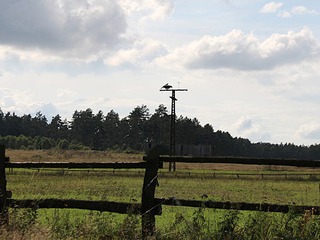 Waldfrühling beim Förster Waldfrühling beim Förster