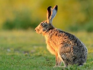 Ostern im Nationalpark Ostern im Nationalpark